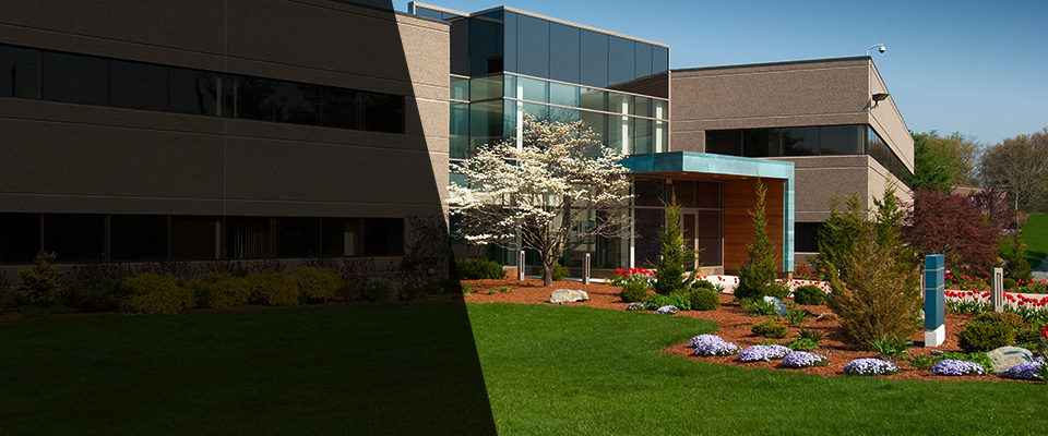 Morgan Hill Landscapers
