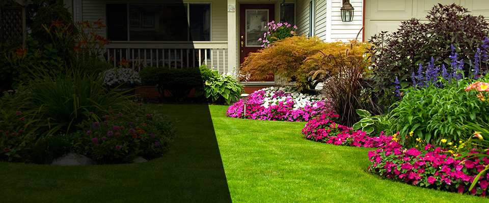 Morgan Hill Landscapers